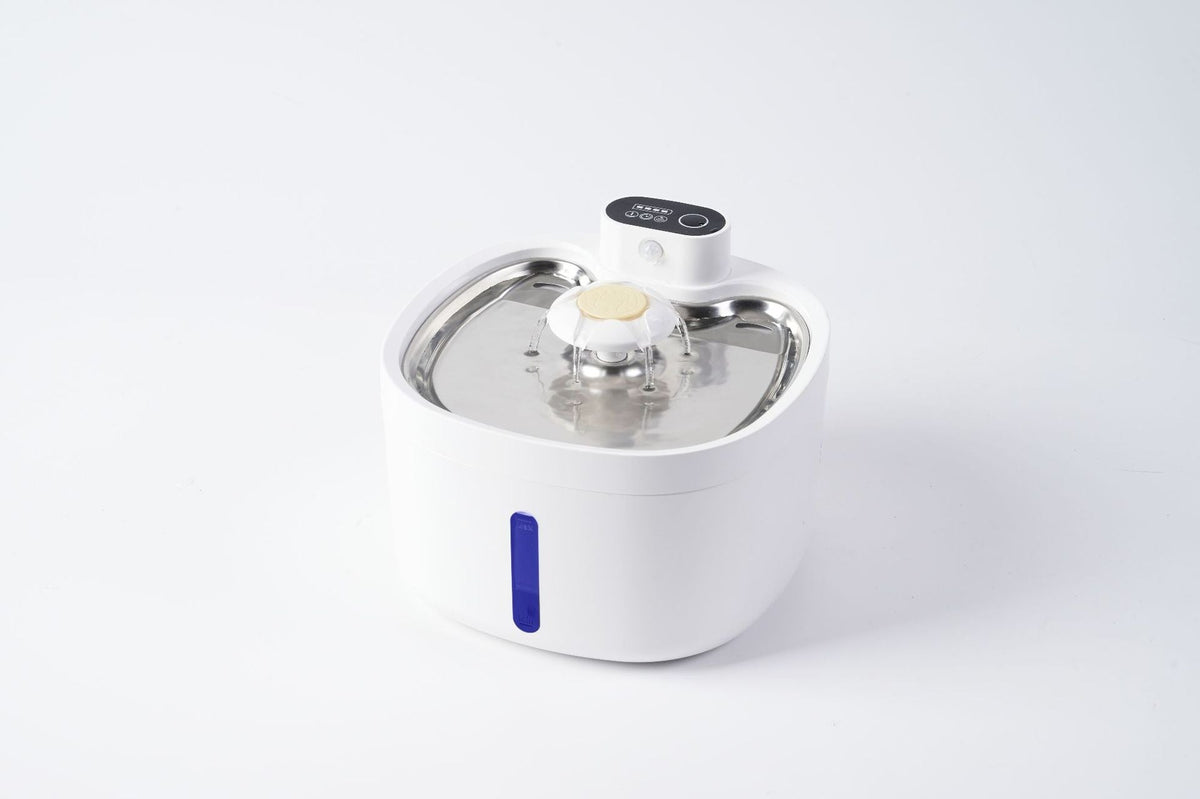 Stainless Steel Cat Water Fountain for Fresh Water