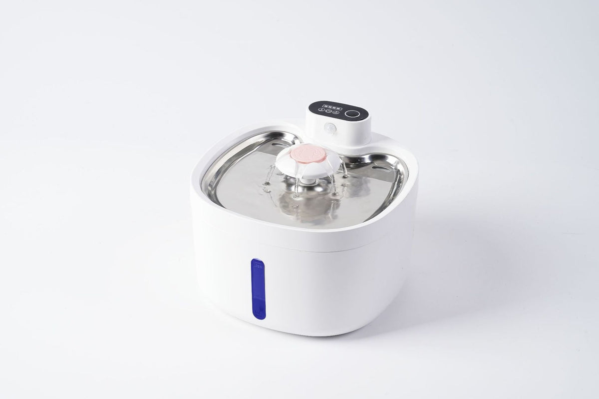 Stainless Steel Cat Water Fountain for Fresh Water