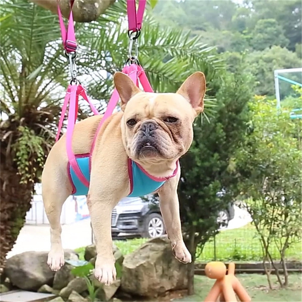 Pet Grooming Hammock for Secure, Easier Nail Trimming