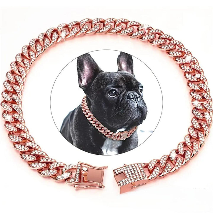 Cuban Chain Pet Collar for Glamorous Photo Moments