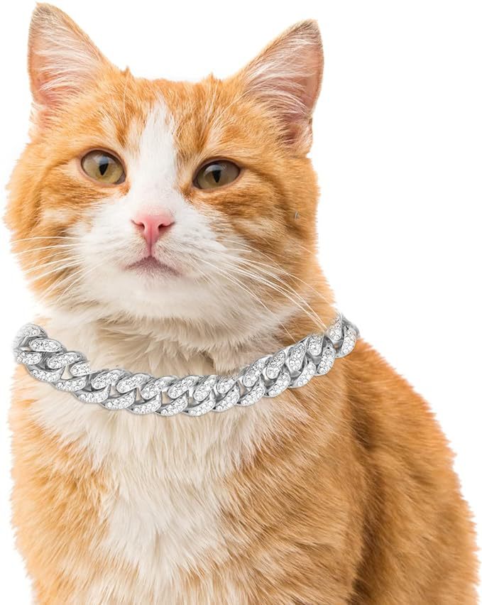 Cuban Chain Pet Collar for Glamorous Photo Moments