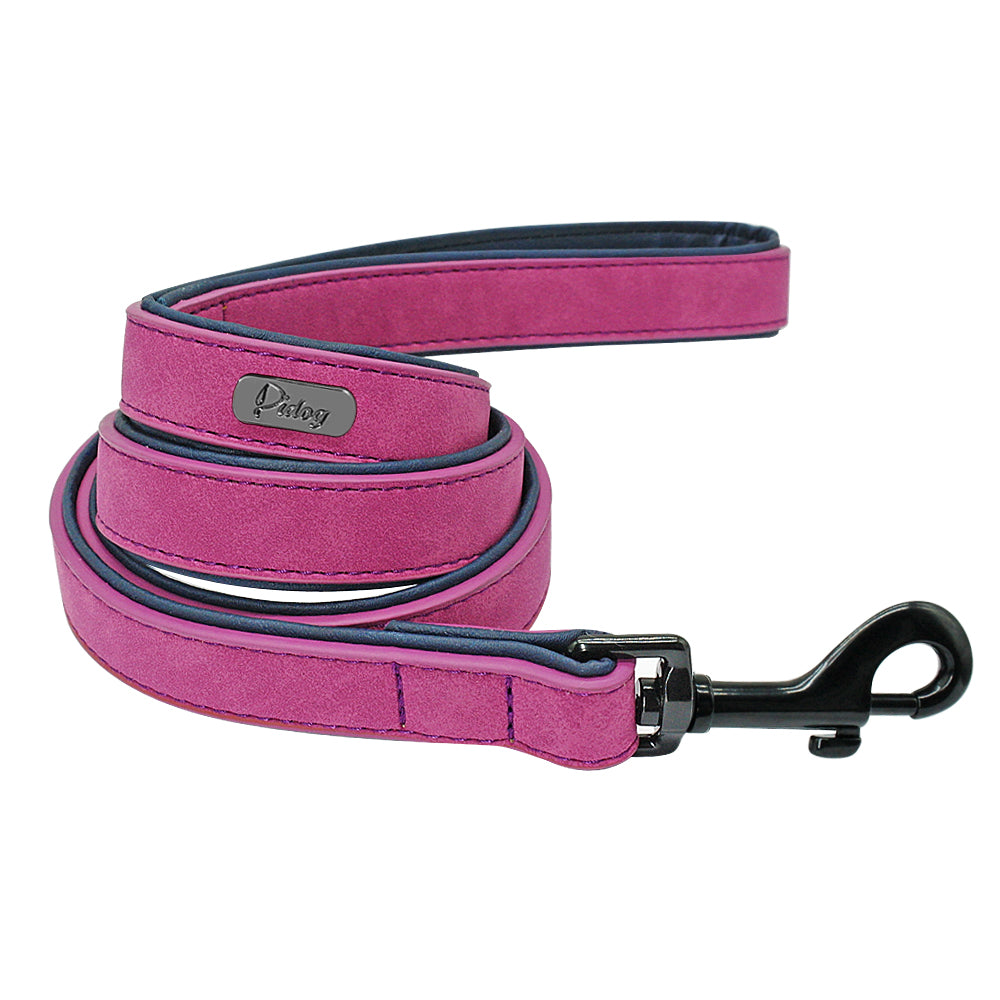 Personalized Dog Collar & Matching Leash Set for Walks