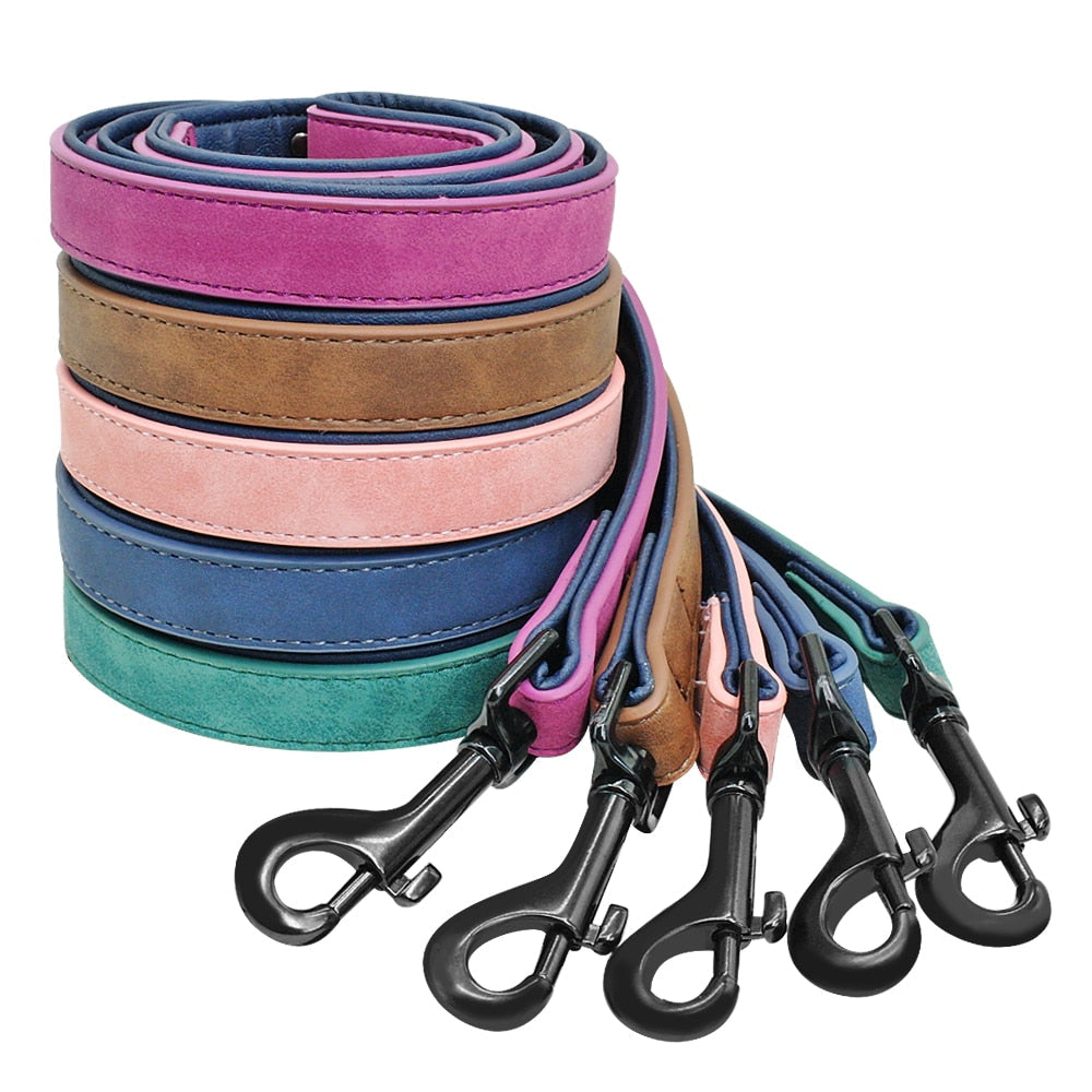 Personalized Dog Collar & Matching Leash Set for Walks