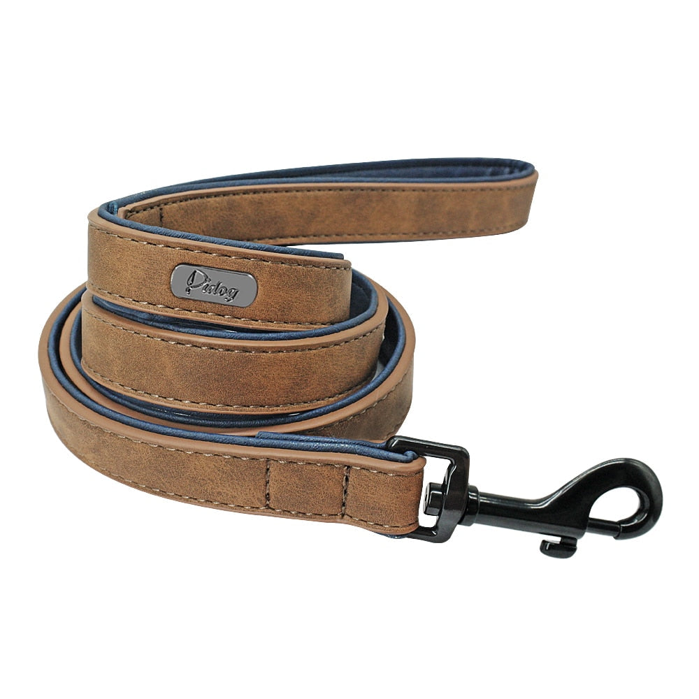 Personalized Dog Collar & Matching Leash Set for Walks