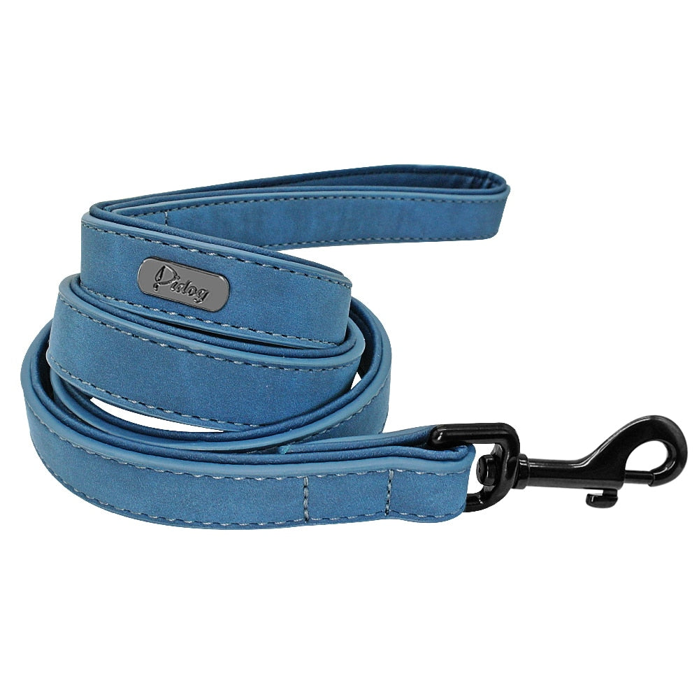 Personalized Dog Collar & Matching Leash Set for Walks