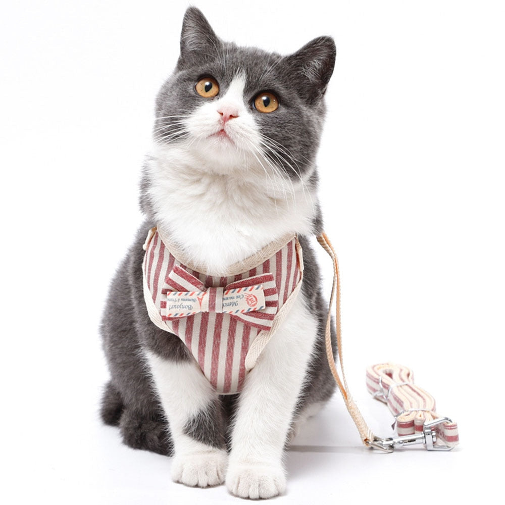 Small Pet Harness and Leash Set for Stylish Walks