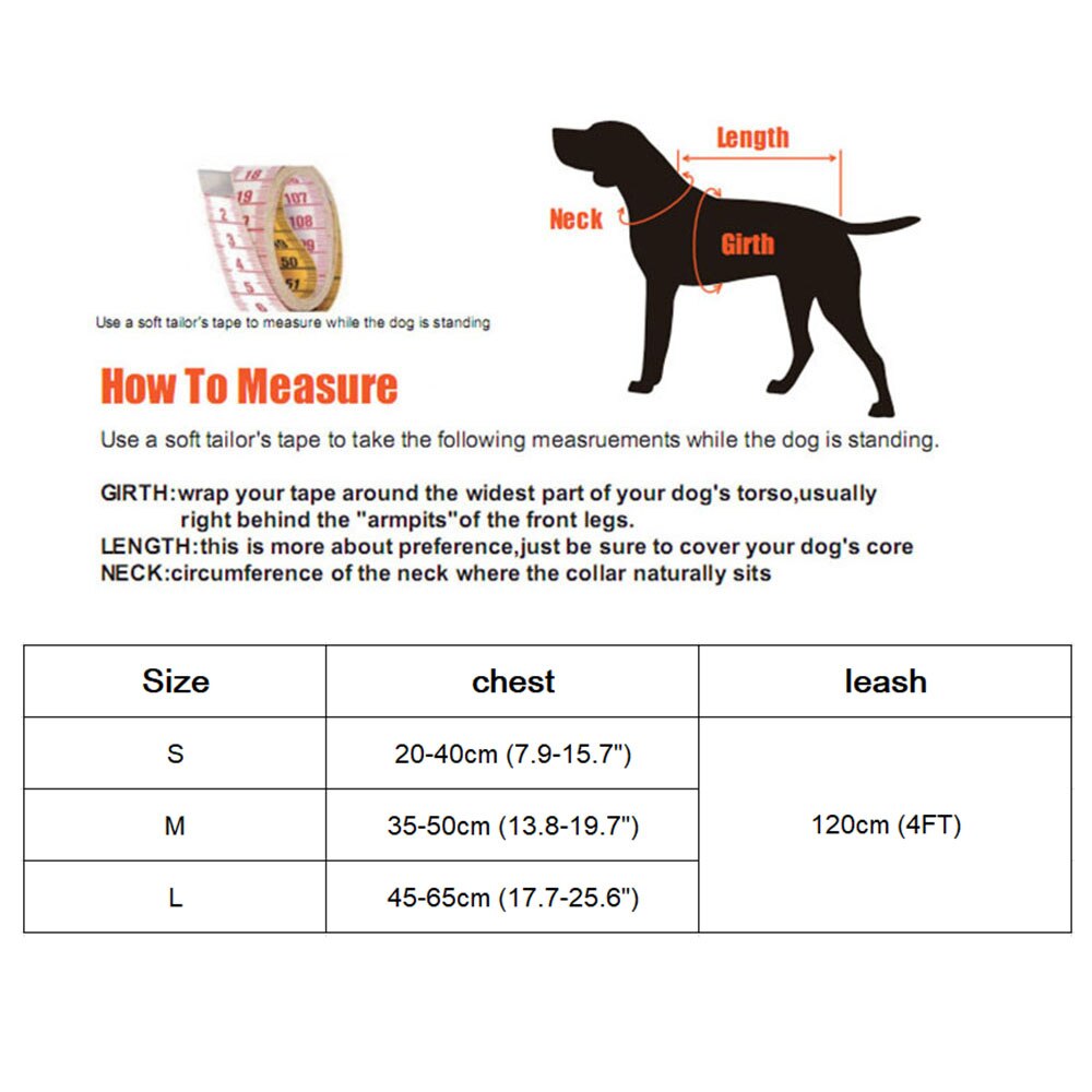 Small Pet Harness and Leash Set for Stylish Walks