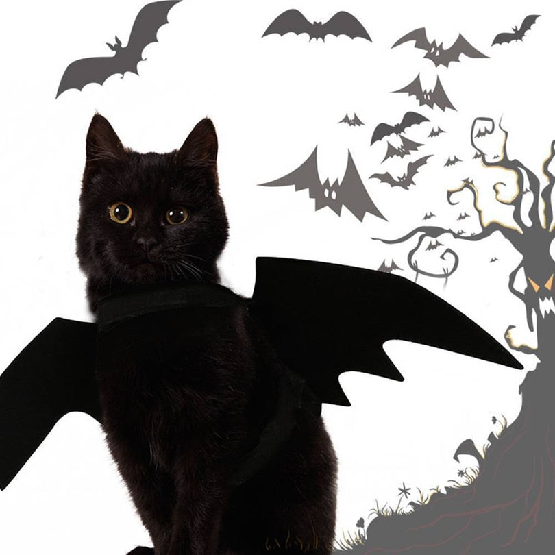 Cat Bat Wings Costume – Adjustable Halloween Accessory