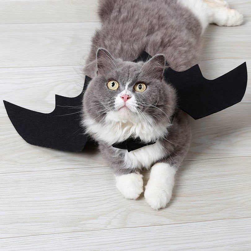 Cat Bat Wings Costume – Adjustable Halloween Accessory