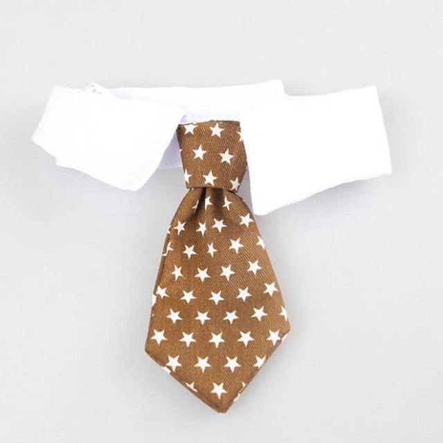 Pet Bow Tie Collar for Smart, Photo-Ready Pet Looks