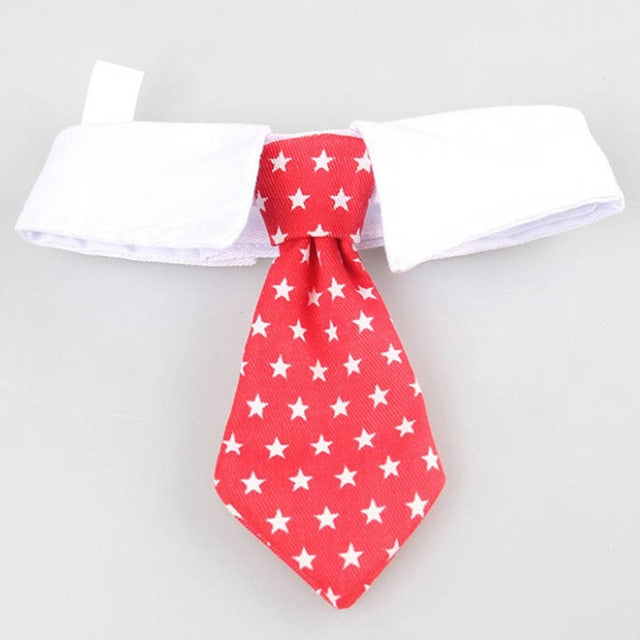 Pet Bow Tie Collar for Smart, Photo-Ready Pet Looks