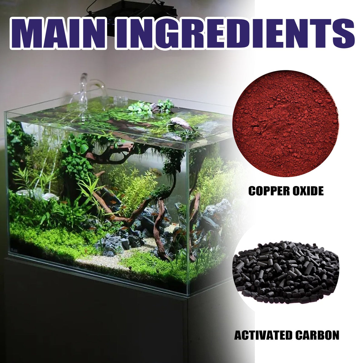 Aquarium Algae Removal Treatment for Clearer Water