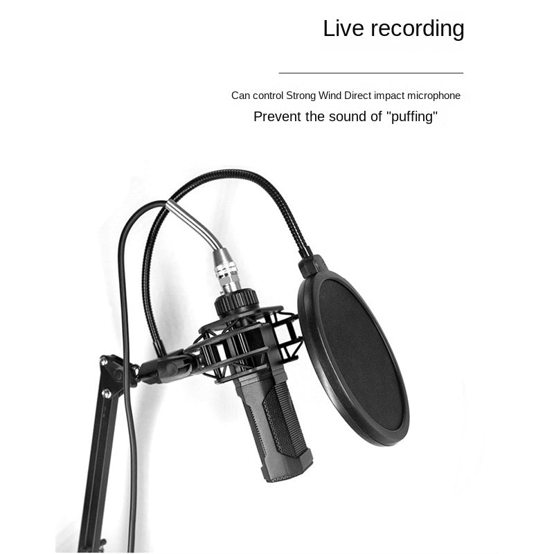 Double-Layer Mic Windscreen for Streaming & Podcasts