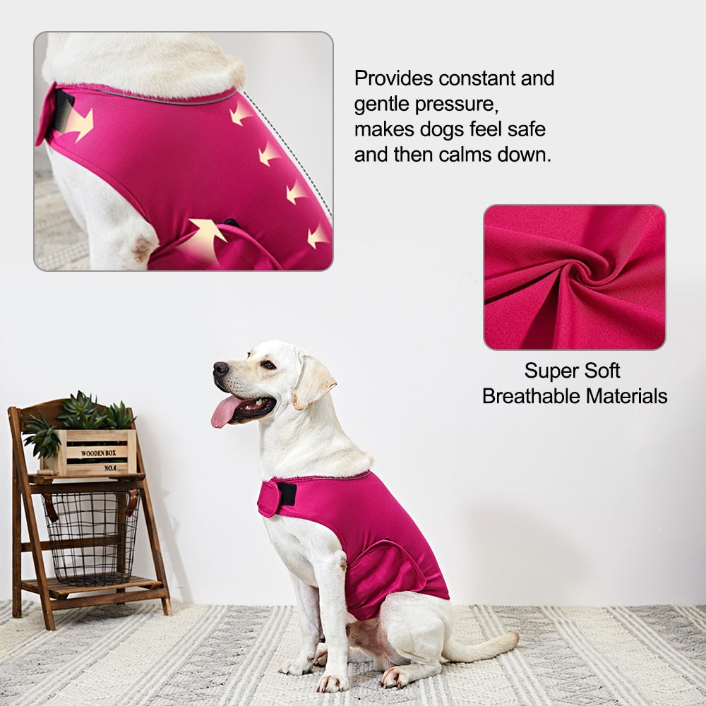 Dog Anxiety Vest for Gentle Pressure and Calmer Routines