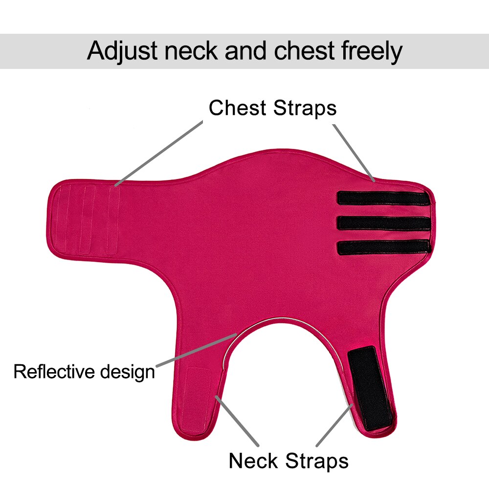 Dog Anxiety Vest for Gentle Pressure and Calmer Routines