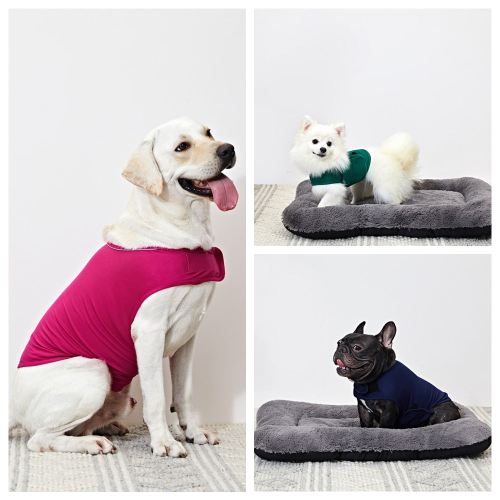 Dog Anxiety Vest for Gentle Pressure and Calmer Routines