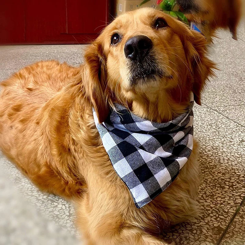 Dog Bandana Scarf – Photo-Ready Plaid Pet Accessory