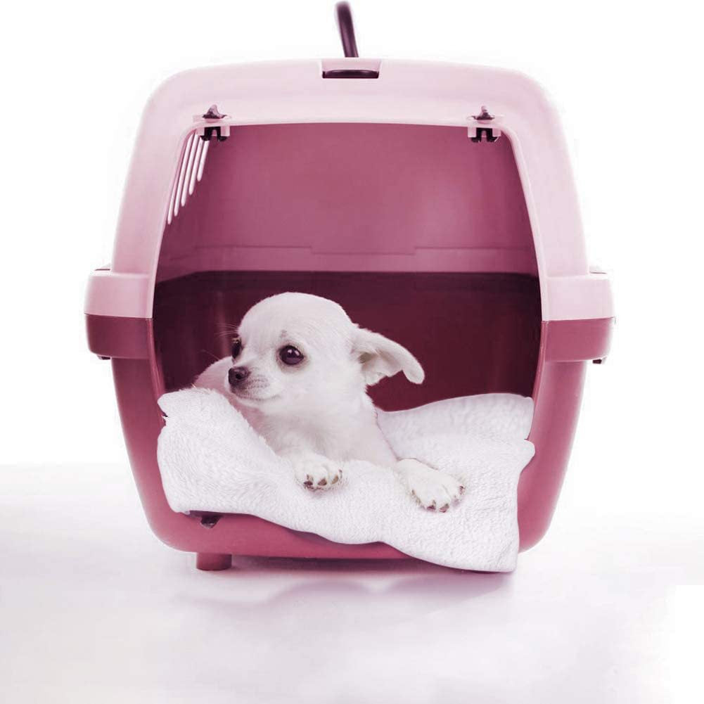 Self-Heating Pet Bed Mat for Cozy, Wire-Free Warmth