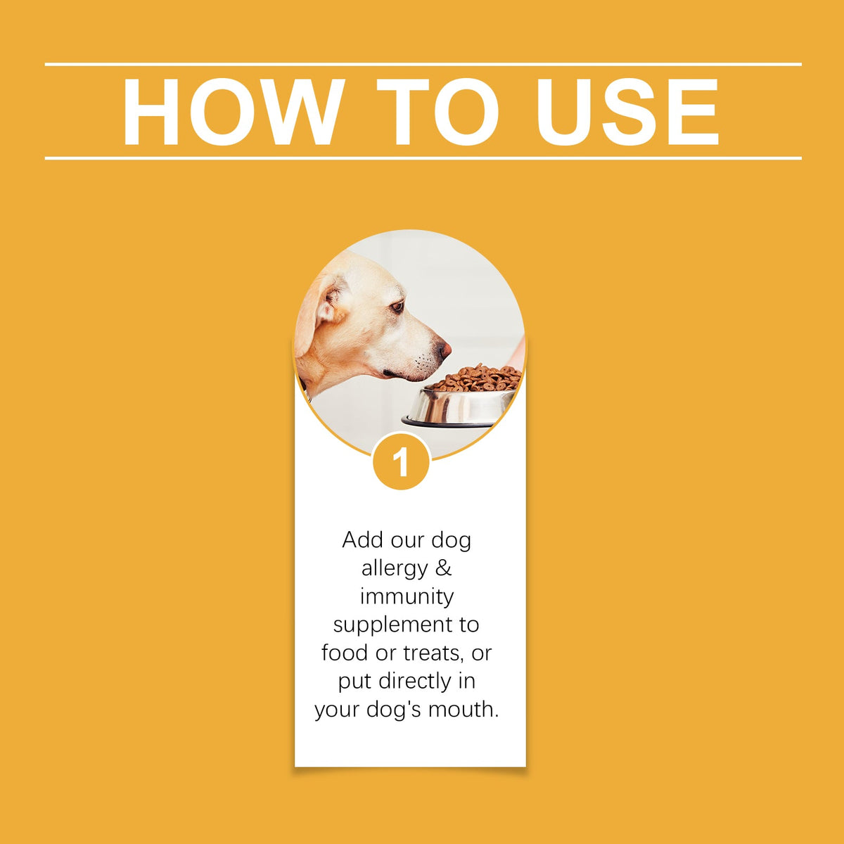 Dog Allergy Support Drops for Skin & Immune Health