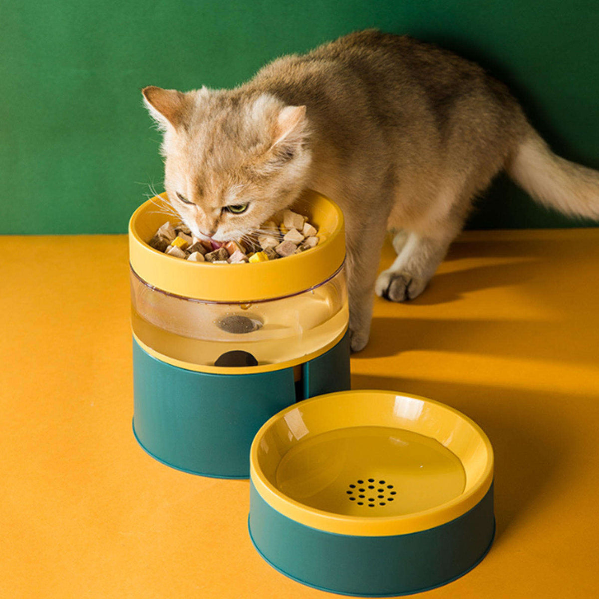 Raised Pet Feeder Bowl With Visible Water Reservoir