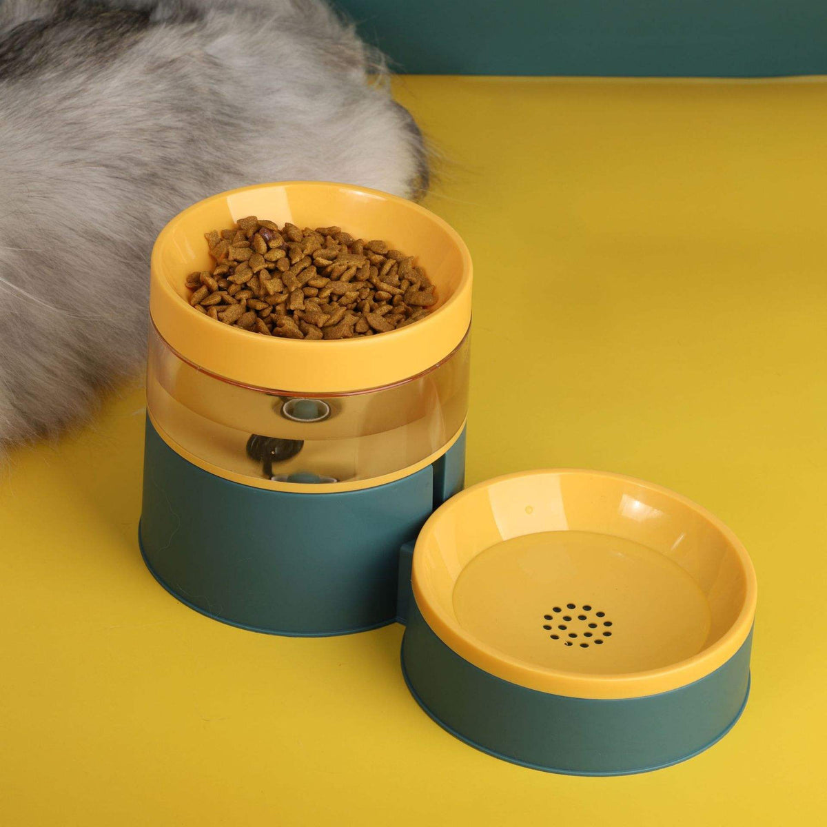 Raised Pet Feeder Bowl With Visible Water Reservoir