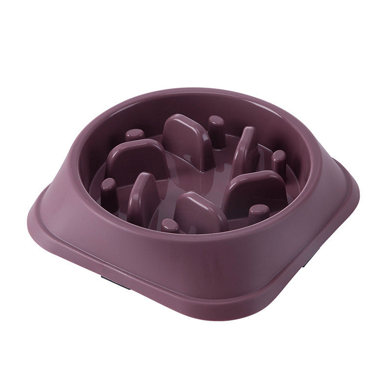 Slow Feeder Dog Bowl for Calm, Cleaner Daily Mealtimes