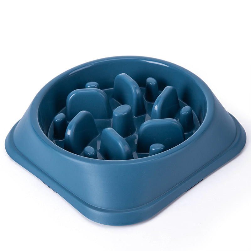 Slow Feeder Dog Bowl for Calm, Cleaner Daily Mealtimes
