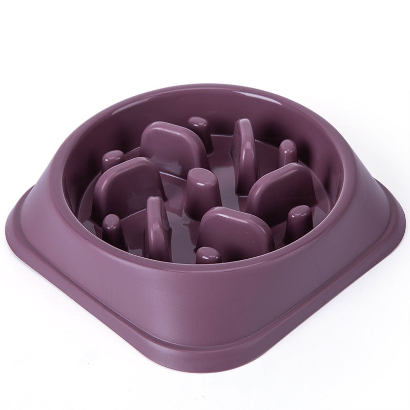 Slow Feeder Dog Bowl for Calm, Cleaner Daily Mealtimes