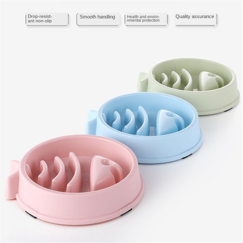 Slow Feeder Dog Bowl for Calmer, Healthier Mealtimes