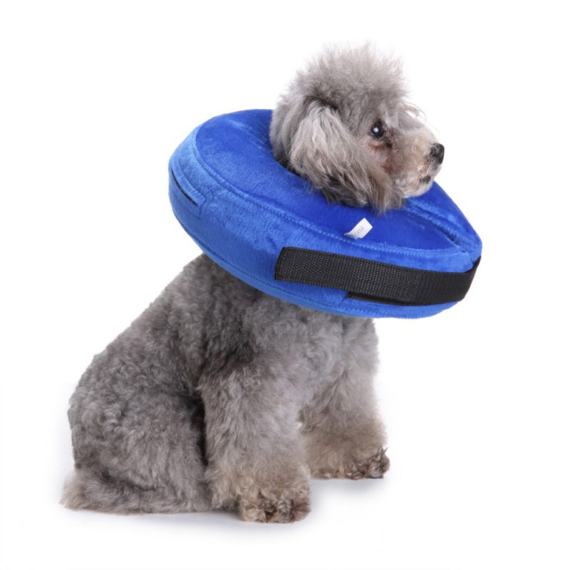 Inflatable Pet Recovery Collar for Wound Protection