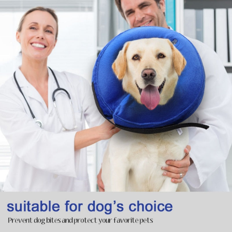 Inflatable Pet Recovery Collar for Wound Protection