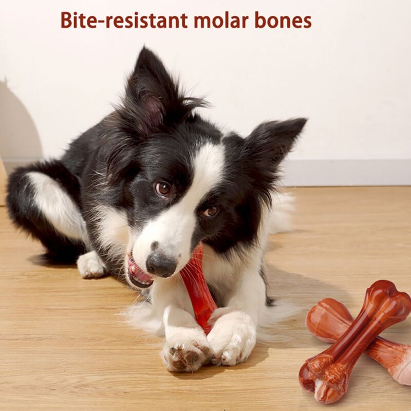 Dog Chew Toy for Aggressive Chewers | Durable Bone