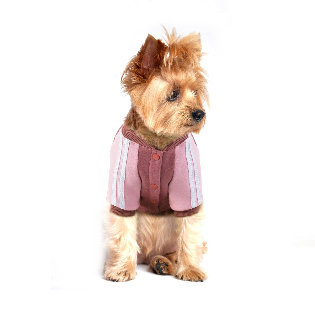 Fleece Dog Sweater for Small Pets | Cozy Winter Style