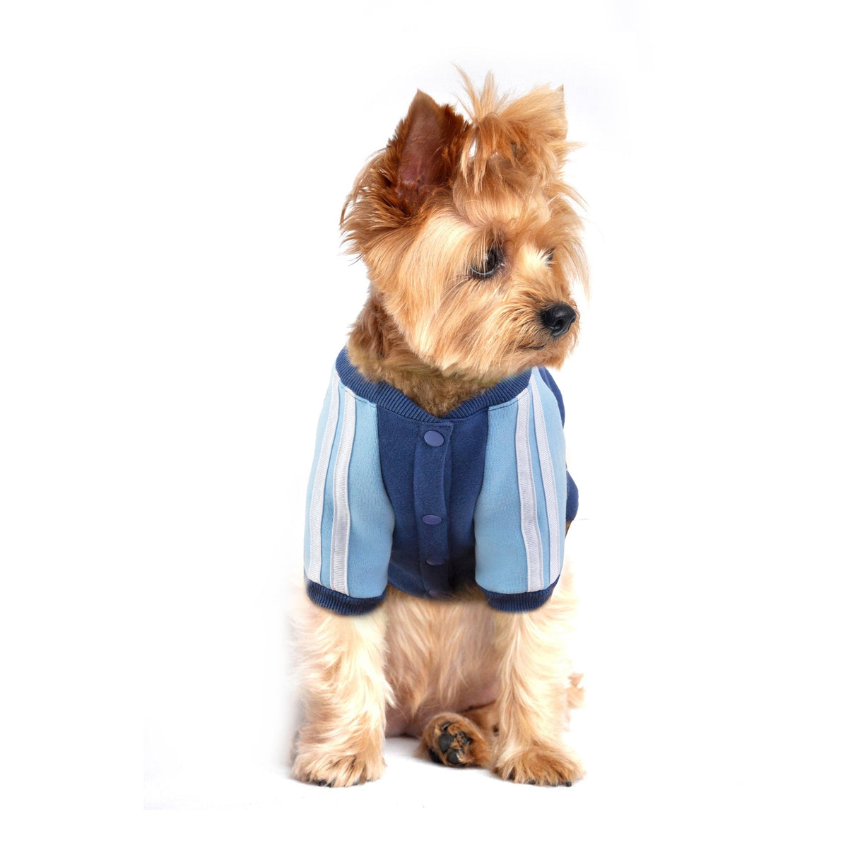 Fleece Dog Sweater for Small Pets | Cozy Winter Style