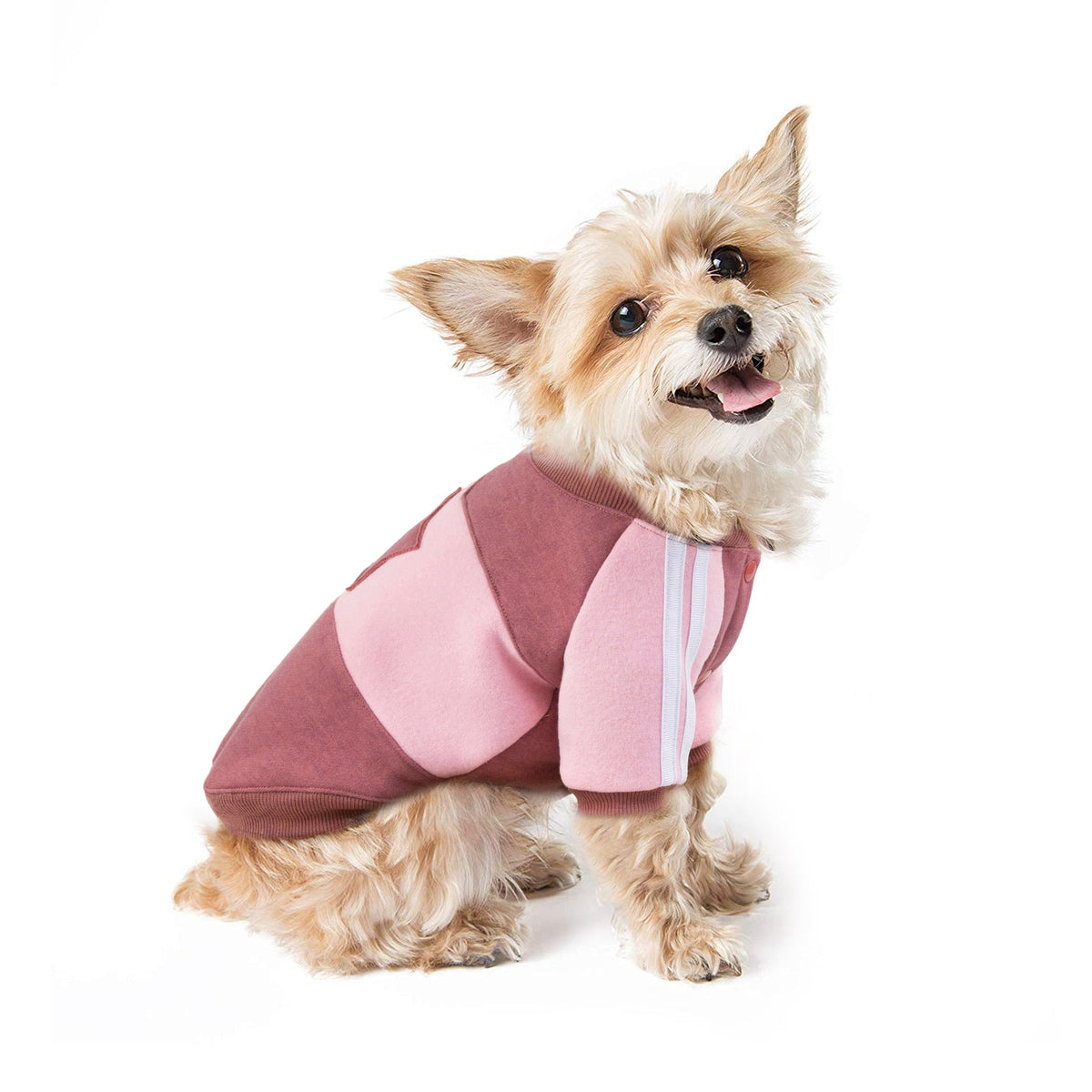 Fleece Dog Sweater for Small Pets | Cozy Winter Style