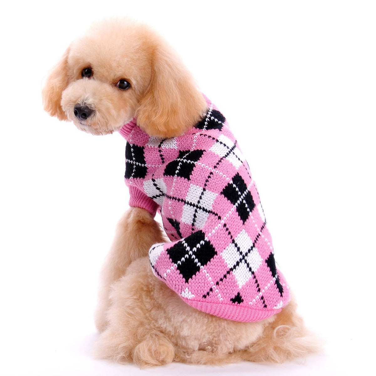 Small Dog Sweater for Cozy, Stylish Winter Walks