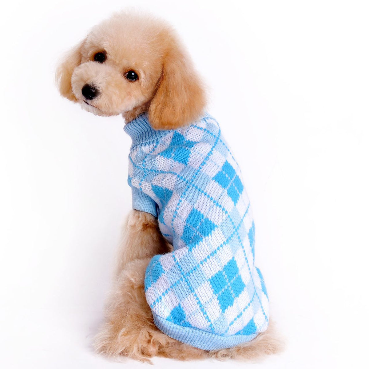 Small Dog Sweater for Cozy, Stylish Winter Walks