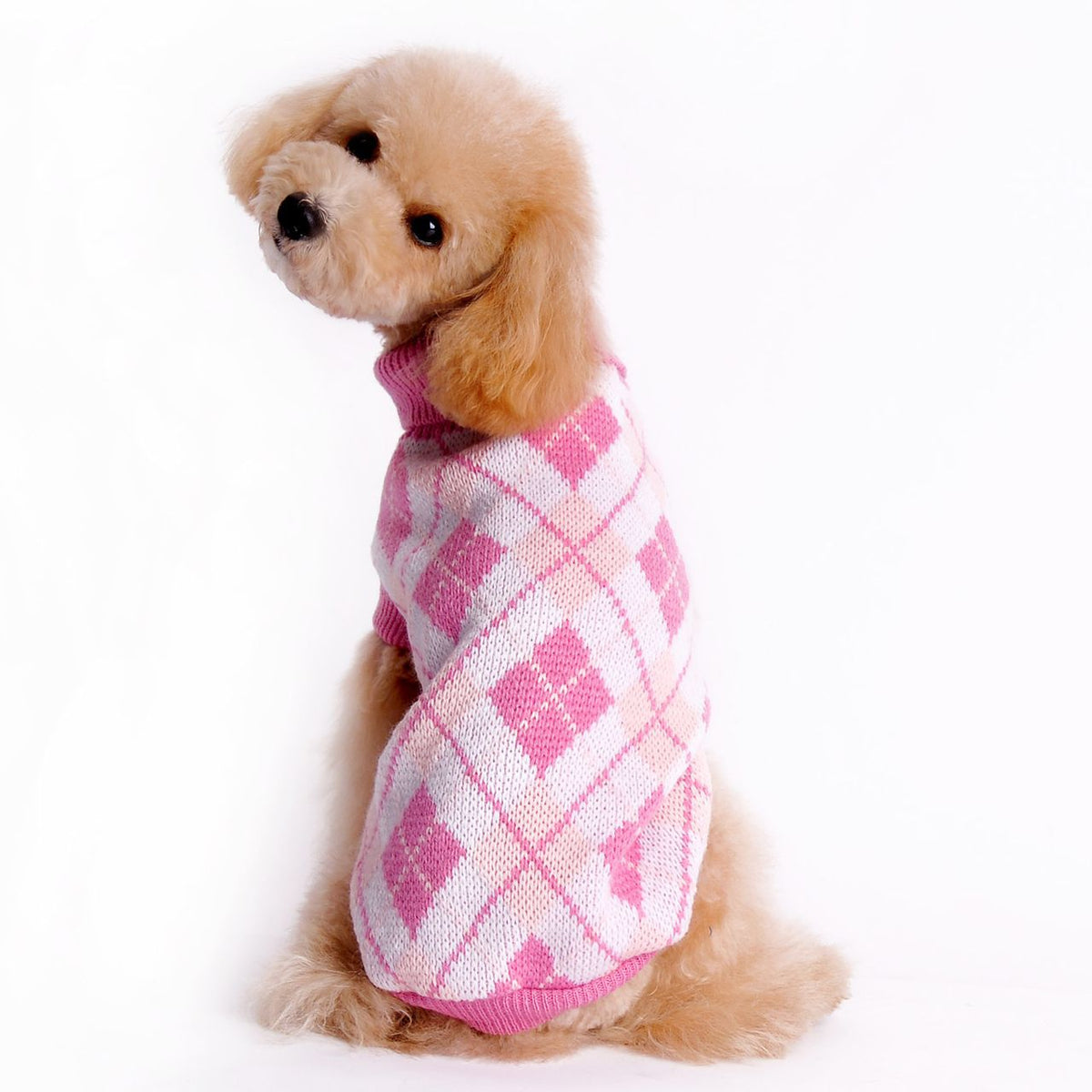 Small Dog Sweater for Cozy, Stylish Winter Walks