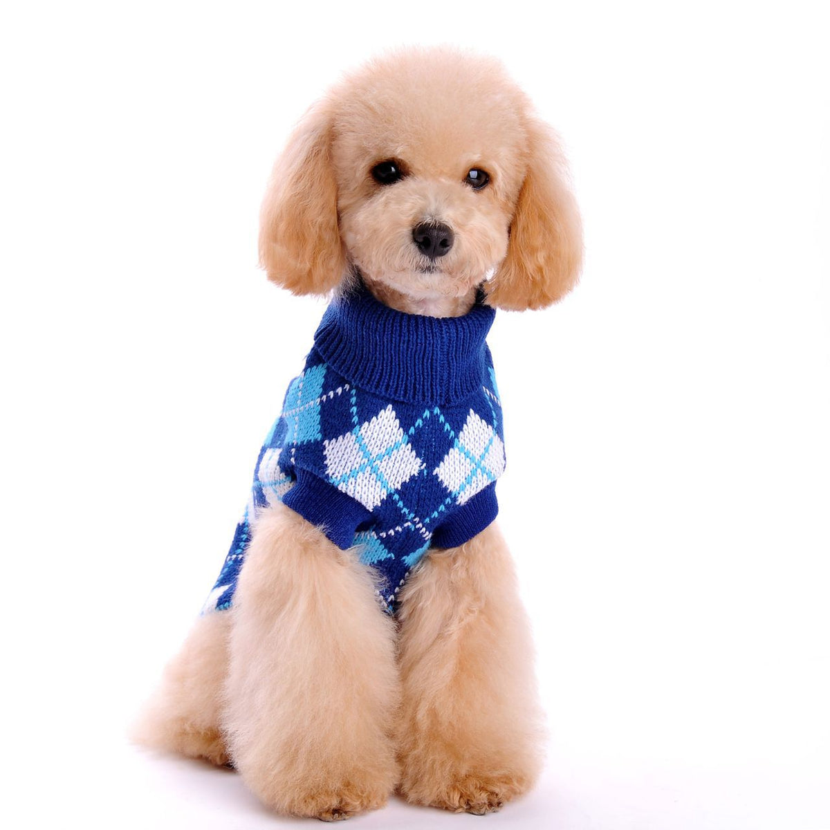 Small Dog Sweater for Cozy, Stylish Winter Walks