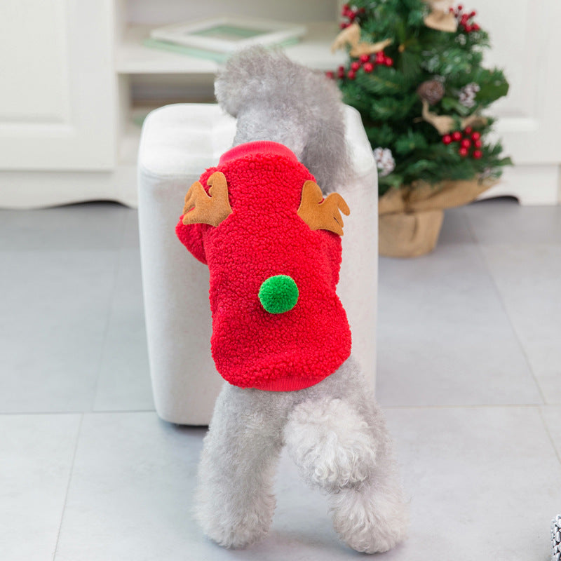 Small Dog Christmas Sweater for Cozy Winter Walks