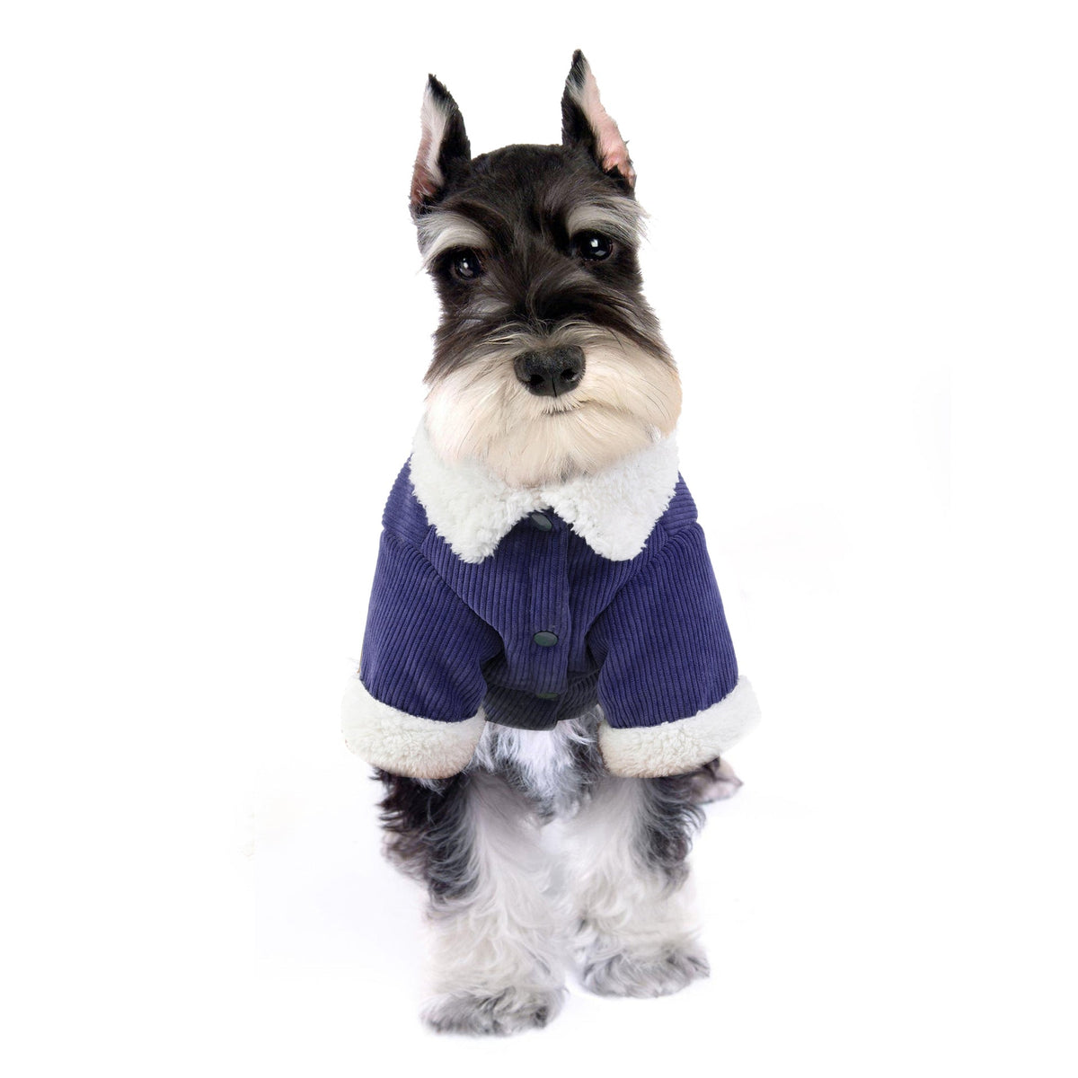 Dog Winter Coat Double-Layer Warm Corduroy Pet Outfit
