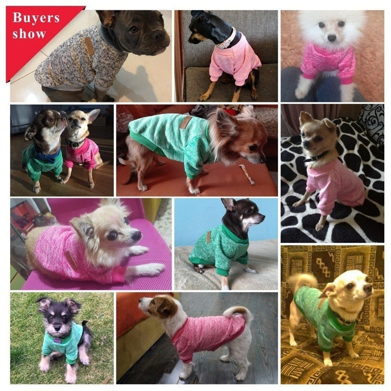 Small Dog Sweater for Warm, Cozy Winter Walks & Lounging