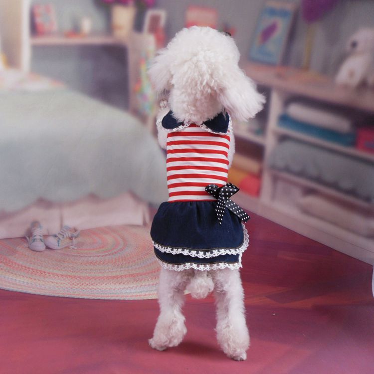 Dog Denim Skirt Dress for Summer Photos & Outings