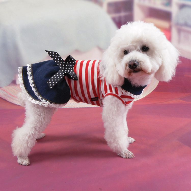 Dog Denim Skirt Dress for Summer Photos & Outings