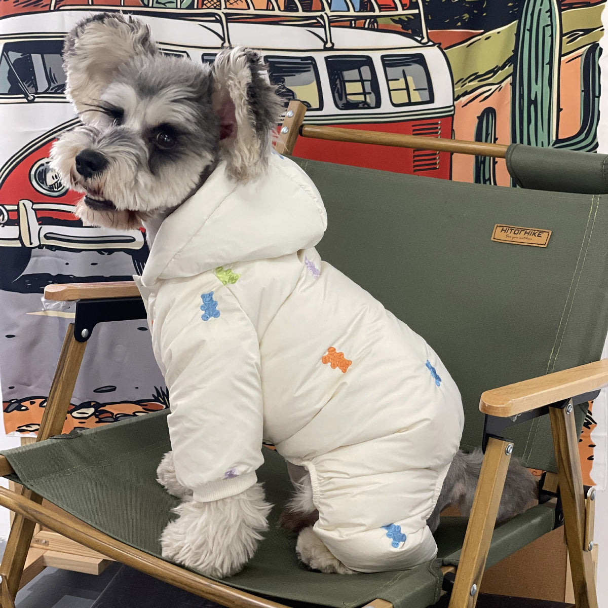 Dog Winter Coat: Full-Body Warmth for Small Dogs Outdoors