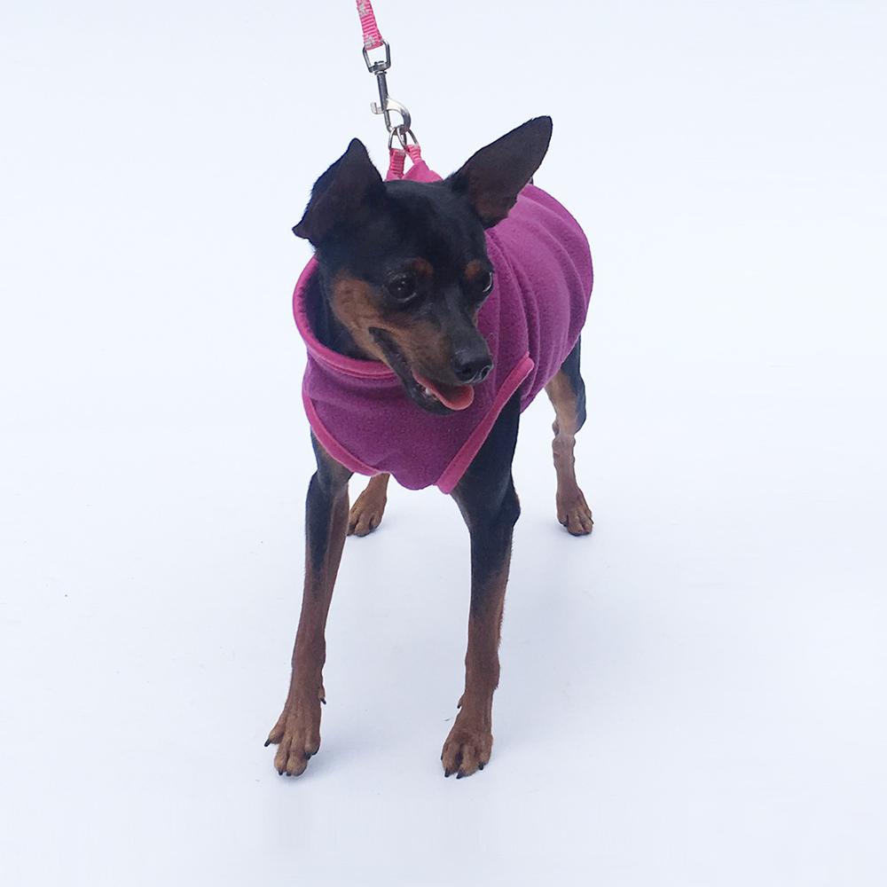 Dog Fleece Sweater for Warm, Comfortable Winter Walks