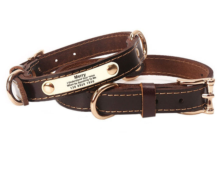 Personalized Leather Dog Collar for Safer Daily Walks