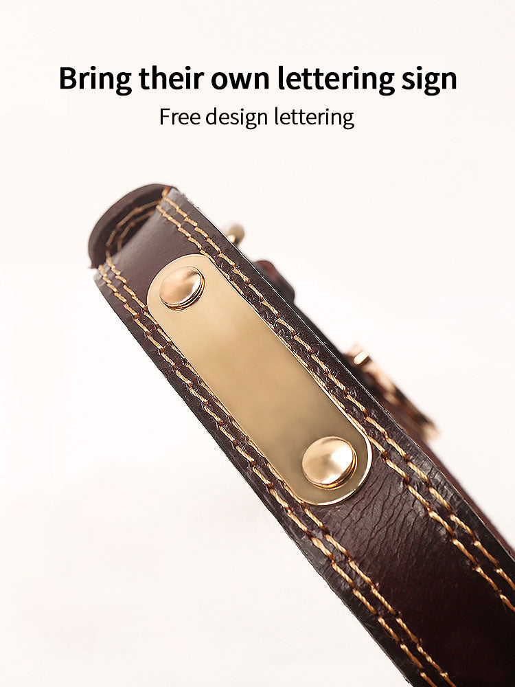 Personalized Leather Dog Collar for Safer Daily Walks