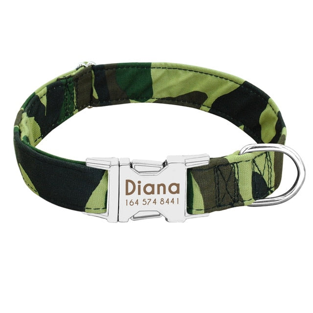 Personalized Dog Collar with Engraved ID Nameplate
