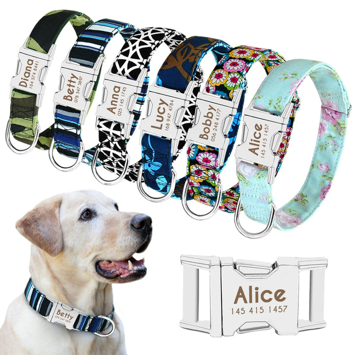 Personalized Dog Collar with Engraved ID Nameplate